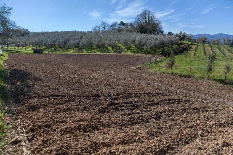 Region [summer] (>5 km)