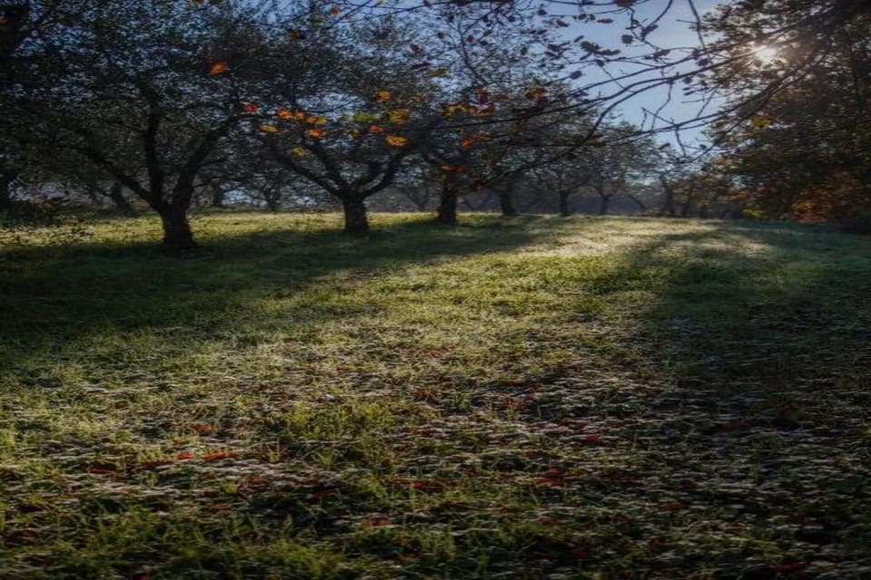 Region [summer] (>5 km)