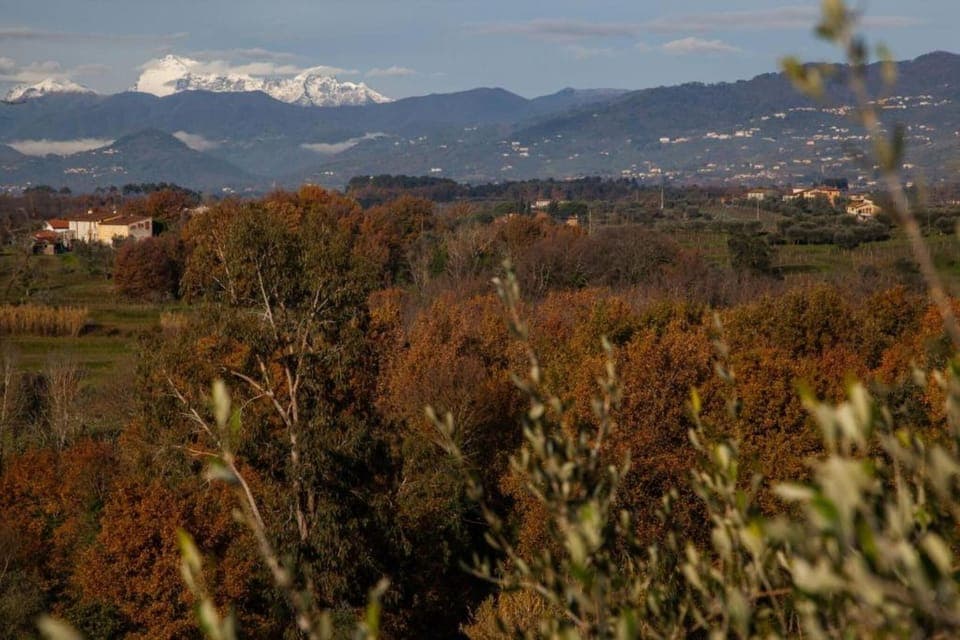 Region [summer] (>5 km)