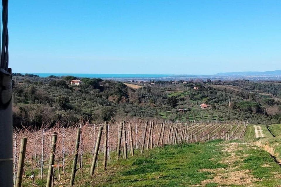 Region [summer] (>5 km)