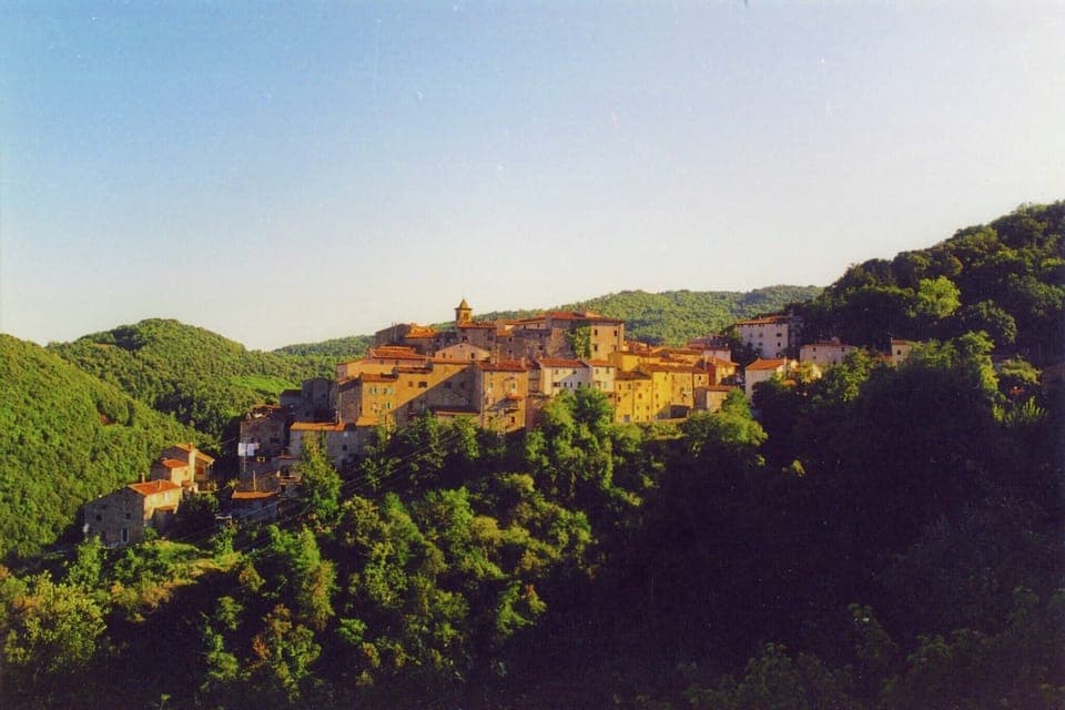 Immediate Surroundings [summer] (<1 km)