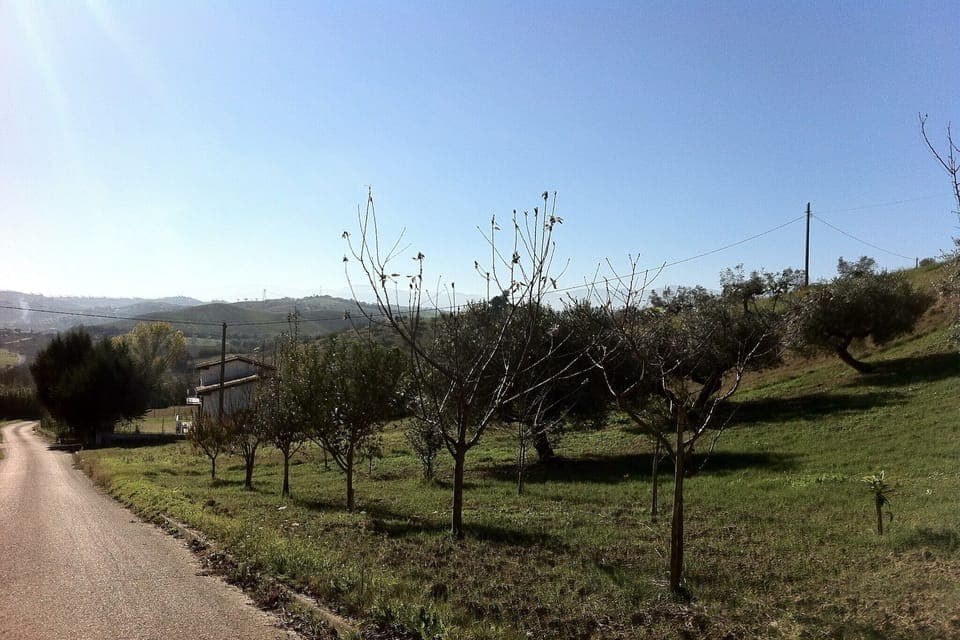 View from Holiday Home [summer]