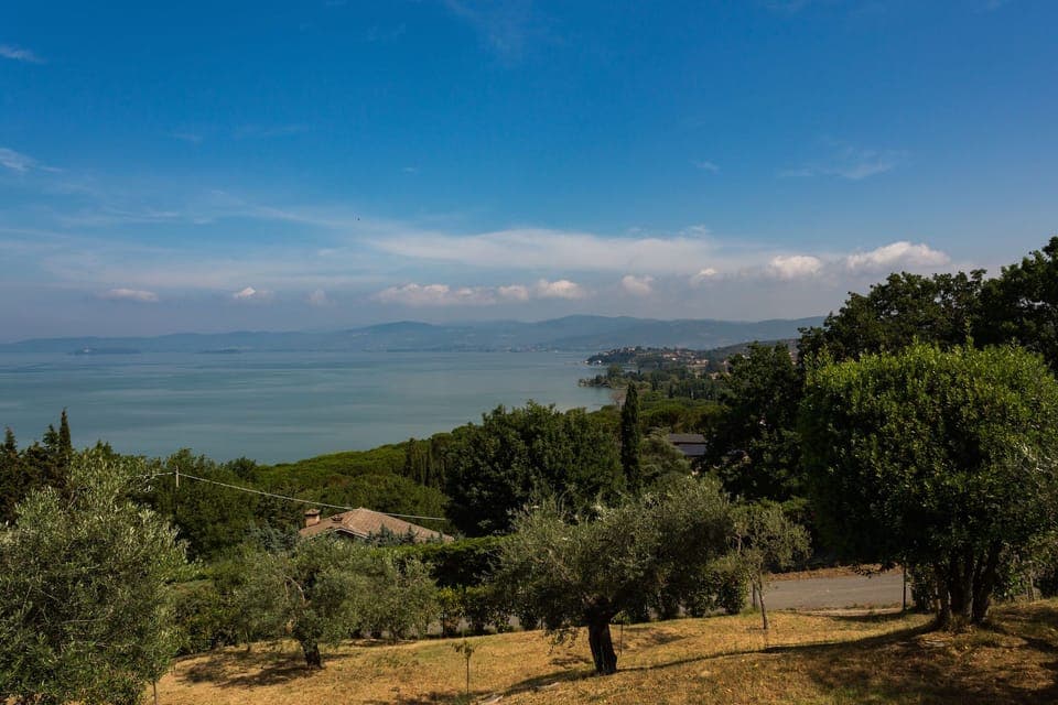 View from Holiday Home [summer]