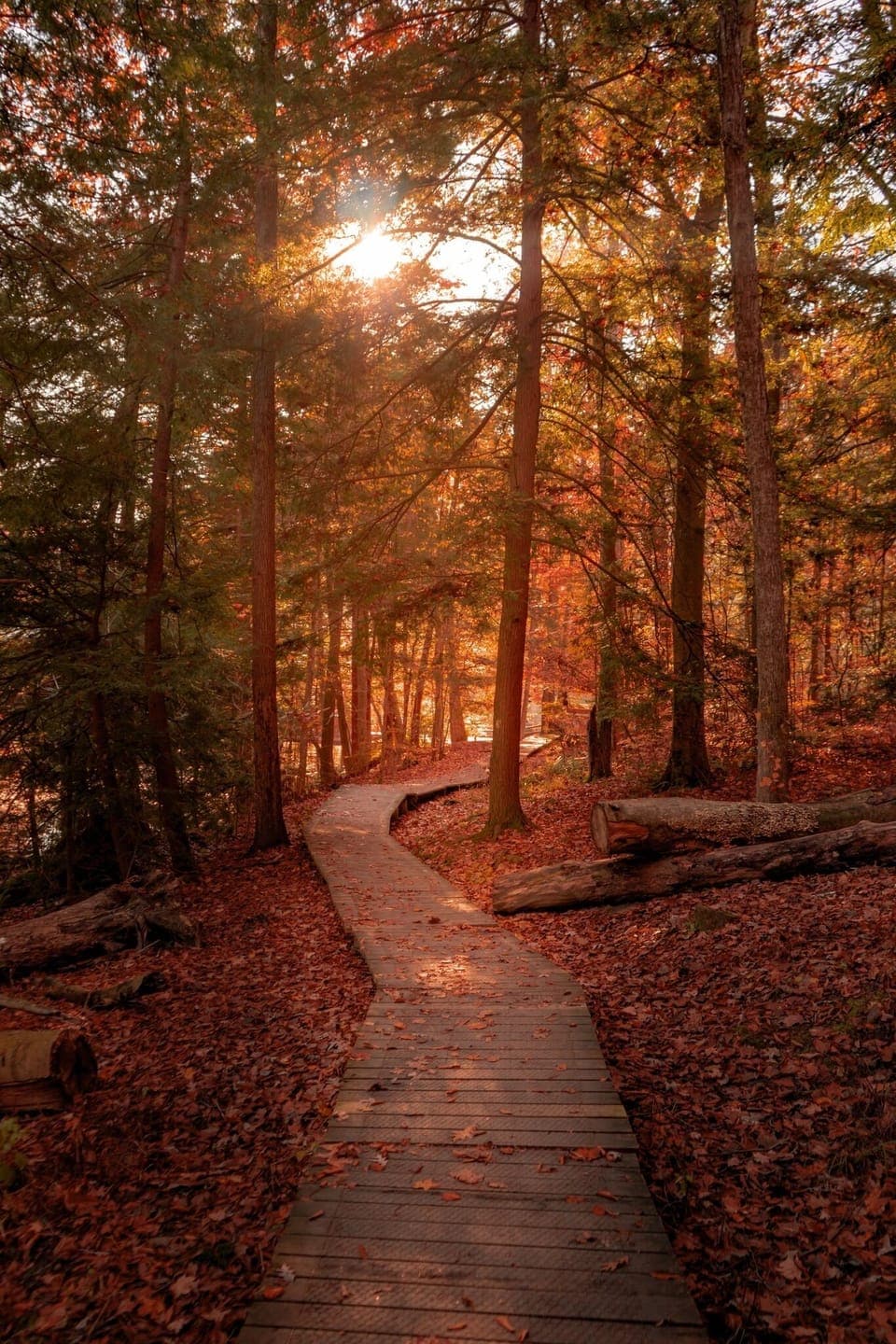 Mohican State Forest hiking. 