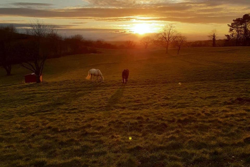 Region [summer] (>5 km)