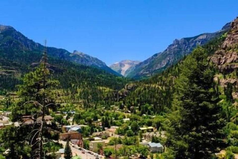 Summer Town View
