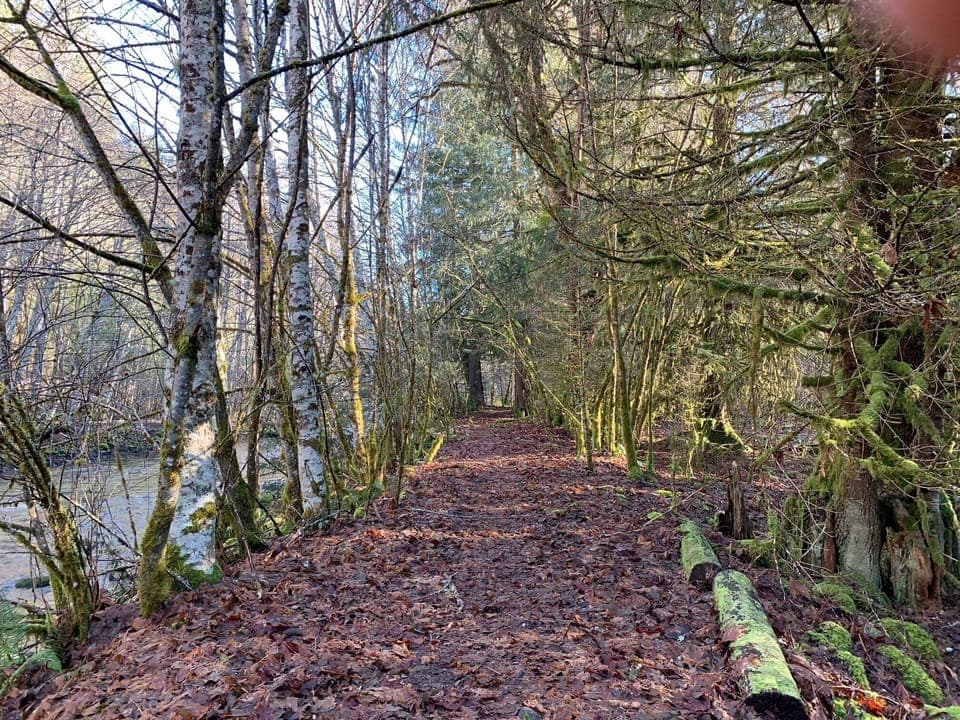 Greenwater River Path 