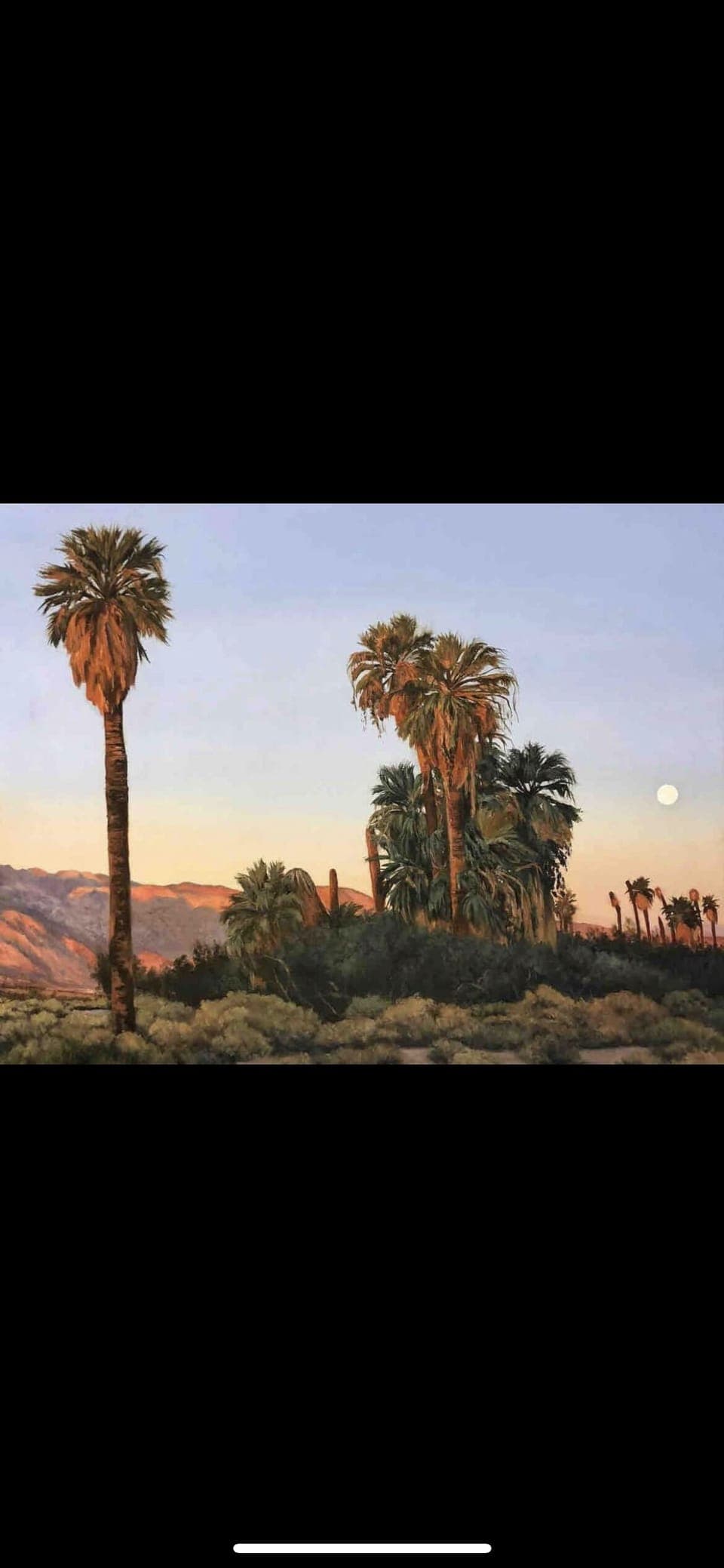 Oasis of Mara by Naomi Brown - currently on display in the home and for sale. 