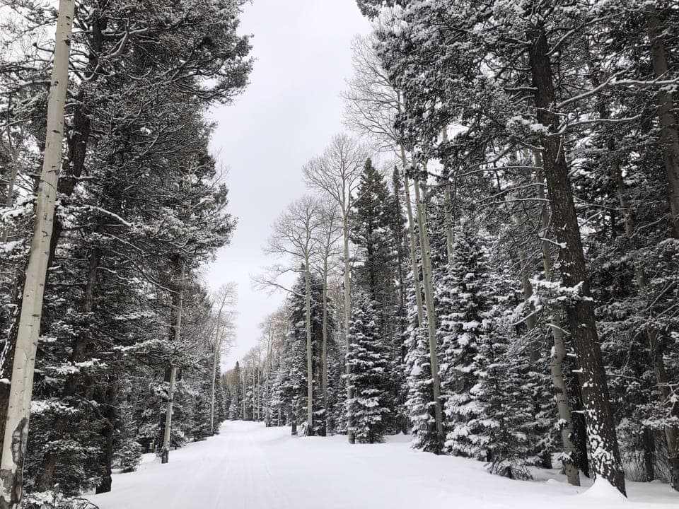 Snow and ski sports
