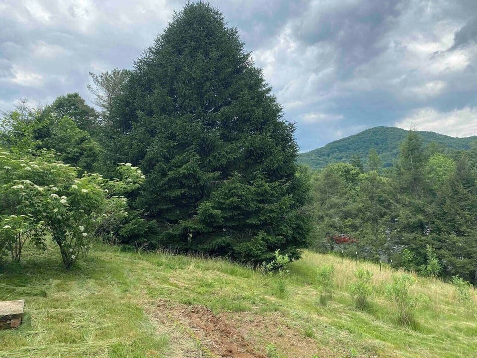 b4bea07f-0b2d-4696-b0e7-69953ff10f25