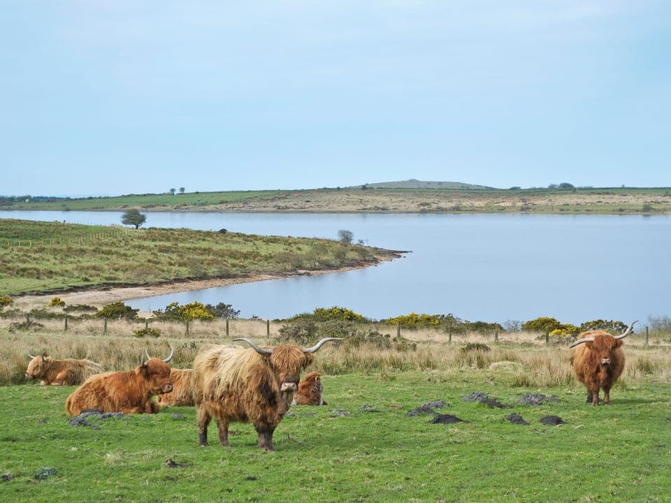 Colliford Lake | Bodmin Moor, Cornwall