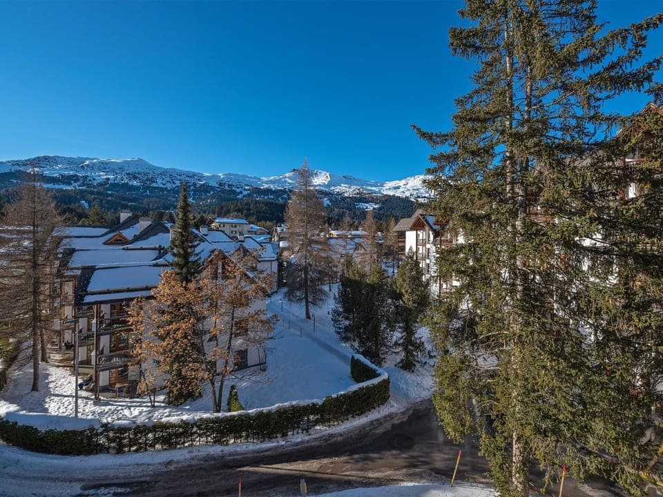 Sky, Mountain, Snow, Larch, Natural Landscape, Branch, Tree, Slope, Cloud, Plant