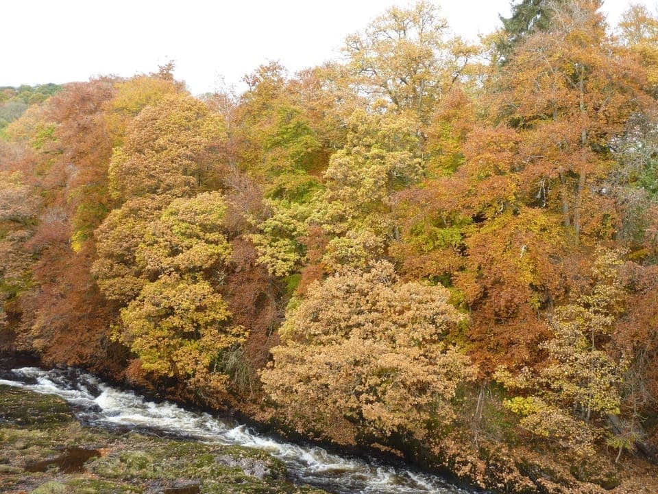 Glorious autumn colours at Brooklinn Mill 