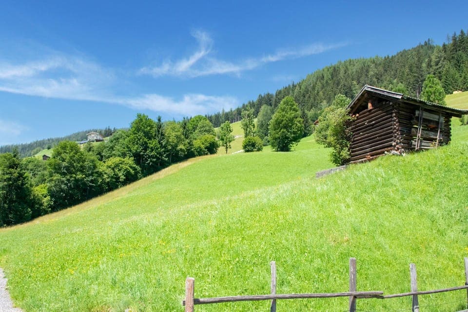 Immediate Surroundings [summer] (<1 km)