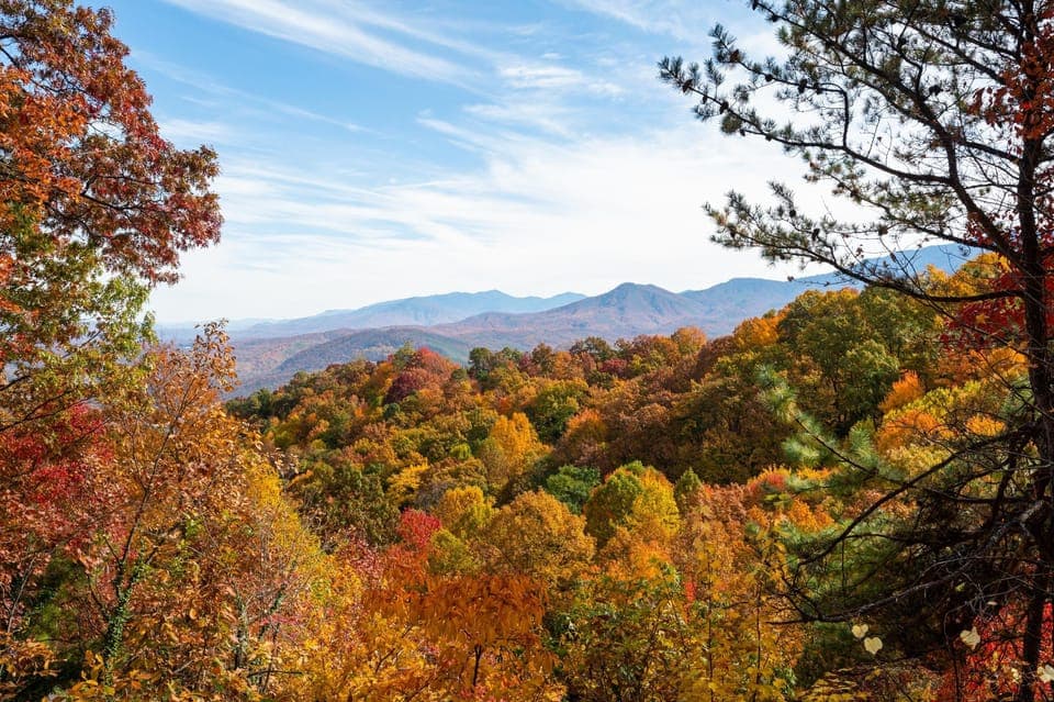You won't need to leave the cabin in search of fall colors with this breathtaking view. Enjoy a peek-a-boo view of Gatlinburg's city lights that opens up as the leaves fall. Less that 10 minutes to Gatlinburg, Ober and GSM National Park entrance.