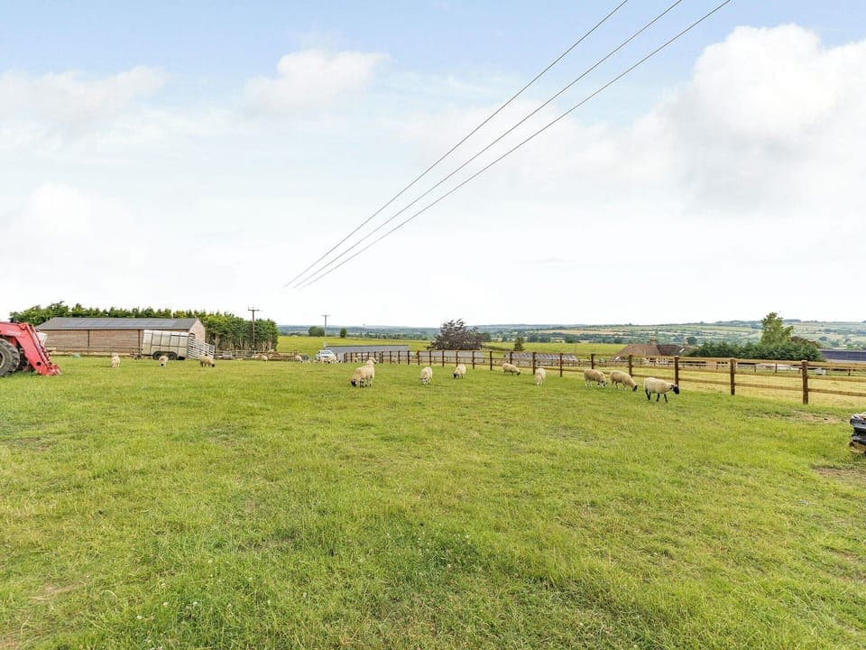Surrounding area | Daisy&rsquo;s Rest - Quarry Hill Farm, Shipton-Under-Wychwood