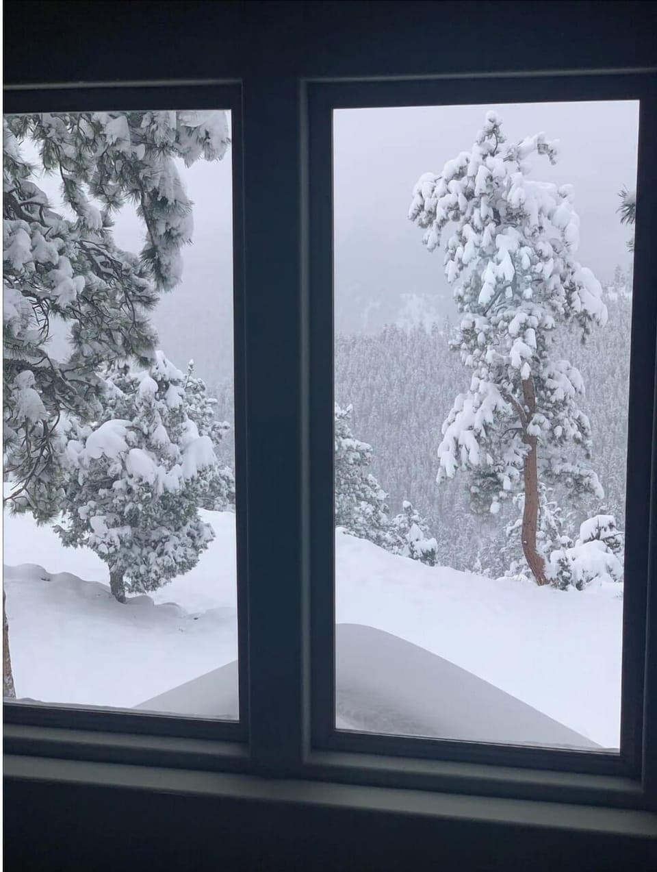 Evergreens fill the mountains, snow quickly turns into winter wonderland!
