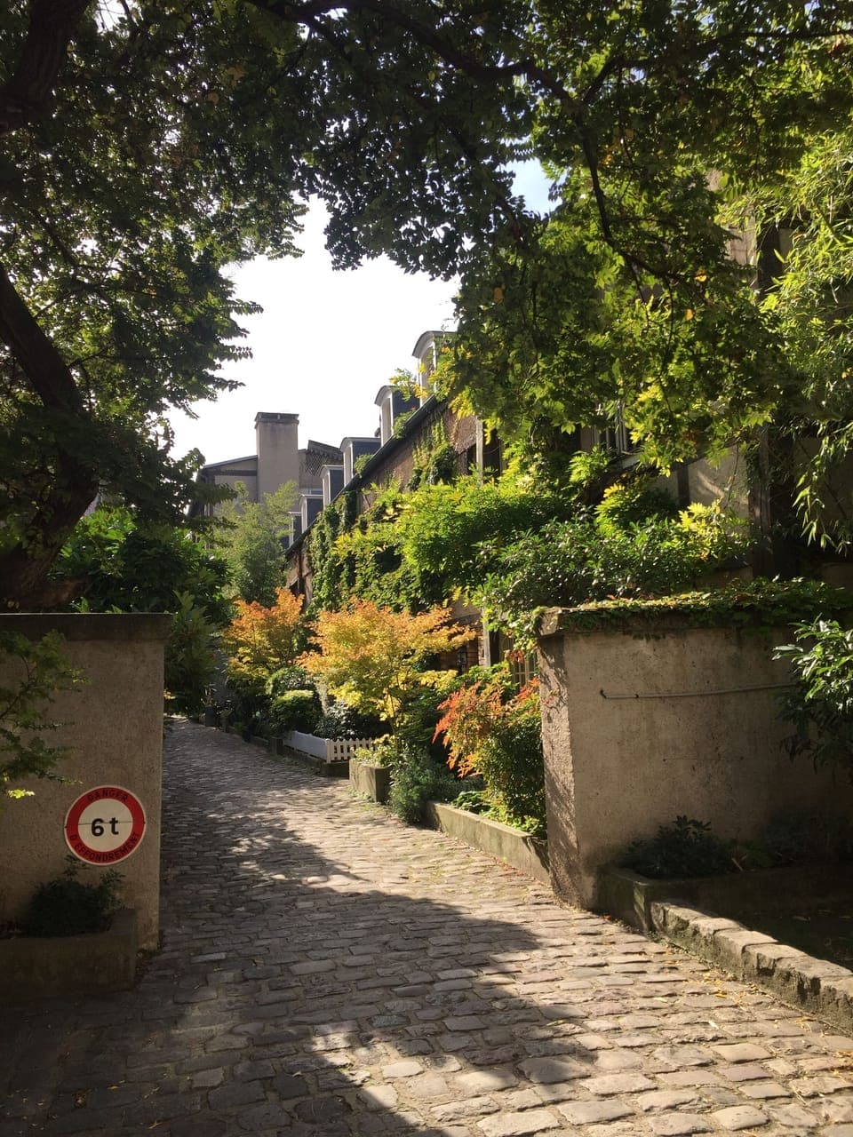 View of the private path