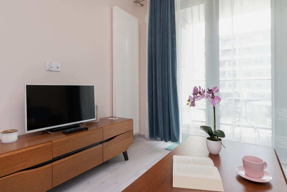 The living area features a sleek coffee table and a flat-screen television.