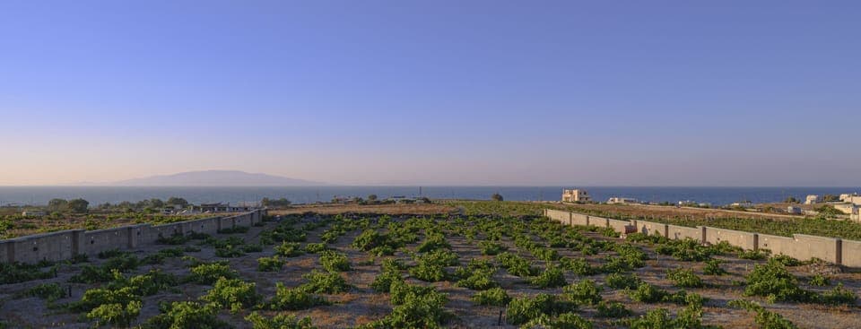 The Location of our Villas among the peacefull Santorini Vineyards!