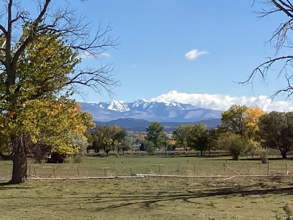 View from pasture