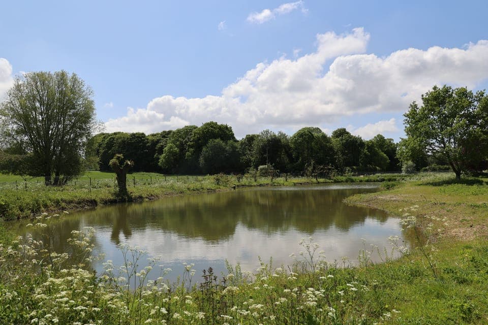 fishing lake open all year, on the main site 2 minutes from the cottages