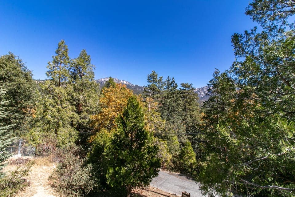 View of the neighborhood street from the deck.
