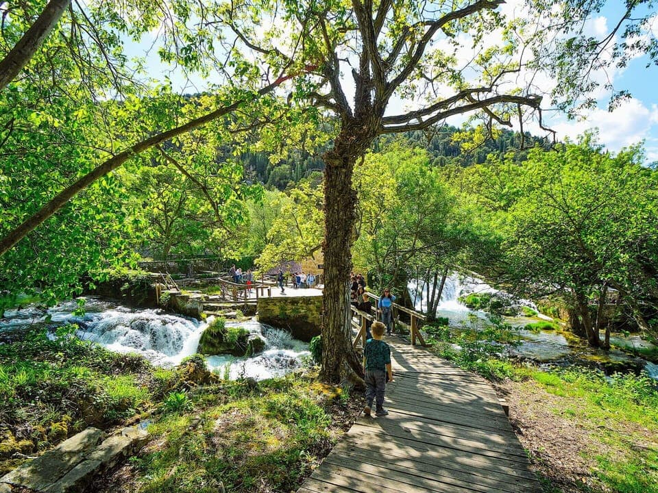 Water Resources, Water, Body Of Water, Nature, Leaf, Tree, Natural Environment, Green, Vegetation