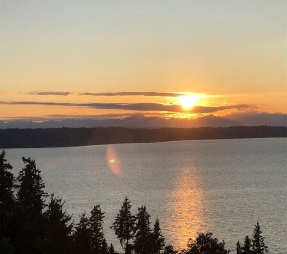 View from porch, Living room, dining room, kitchen, and bed room