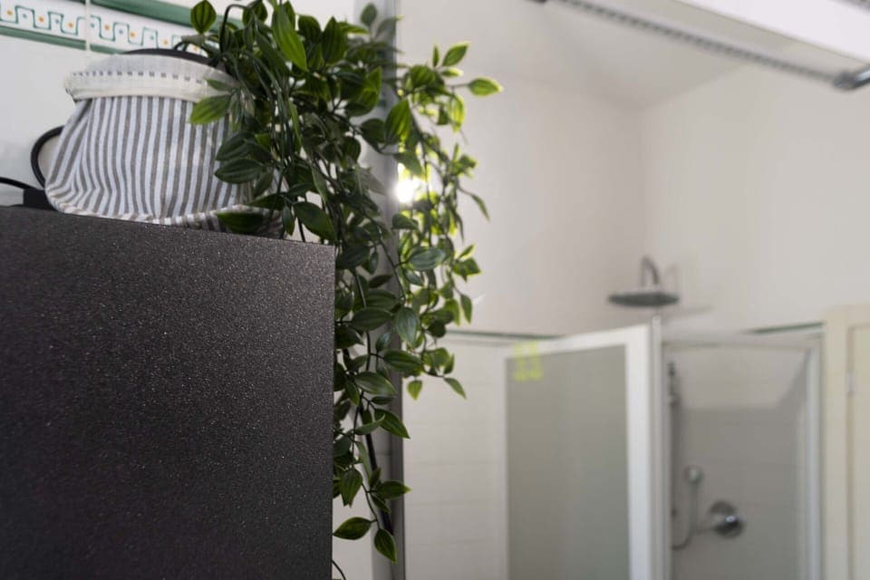 Plant, Houseplant, Interior Design, Wood, Rectangle, Floor, Material Property, Twig, Building, Real Estate