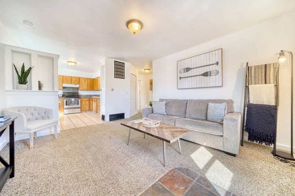 Living room area with pullout sofa