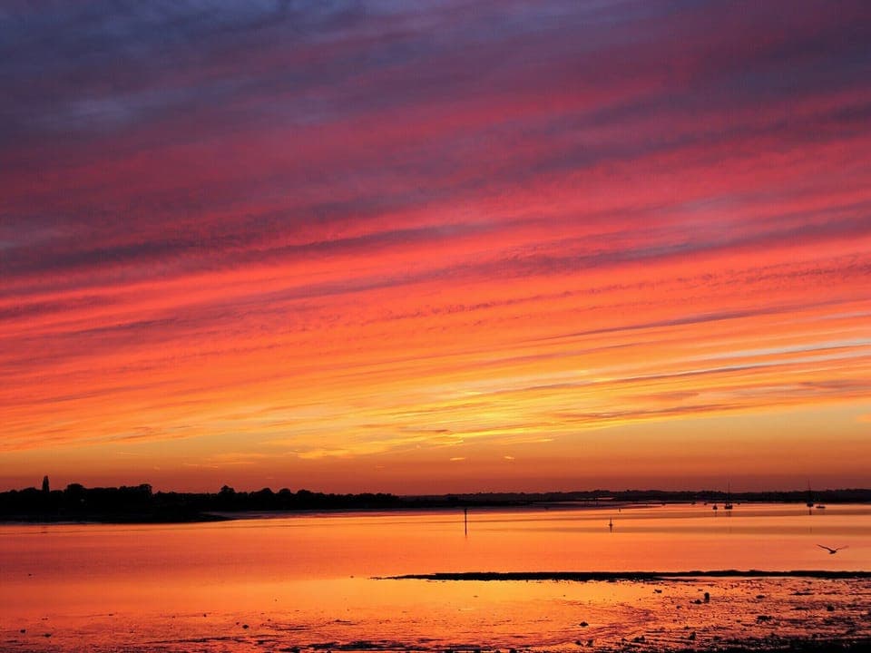 Surrounding area | Curlew, Point Clear Bay