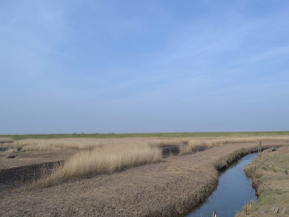 Salt marshes | Maison du Quai, Cley-next-the-Sea