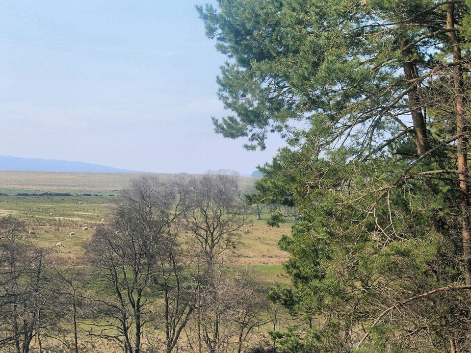 Surrounding area | Mycroft Studio, Rochester near Otterburn