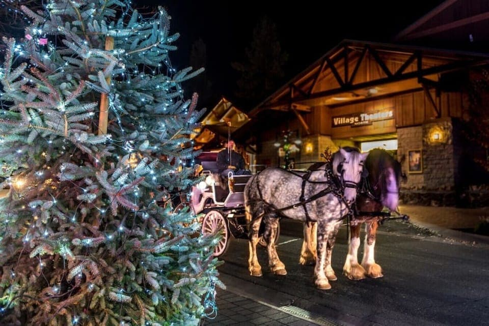 Available carriage at the Village