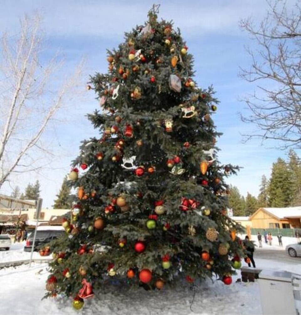 A tree that brings holiday cheers