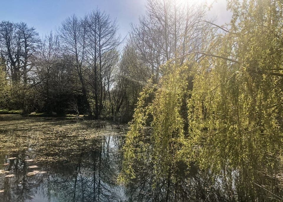 Oat Hill Lodge | Oat Hill Lodge - Oat Hill Farm Lodge, Crewkerne