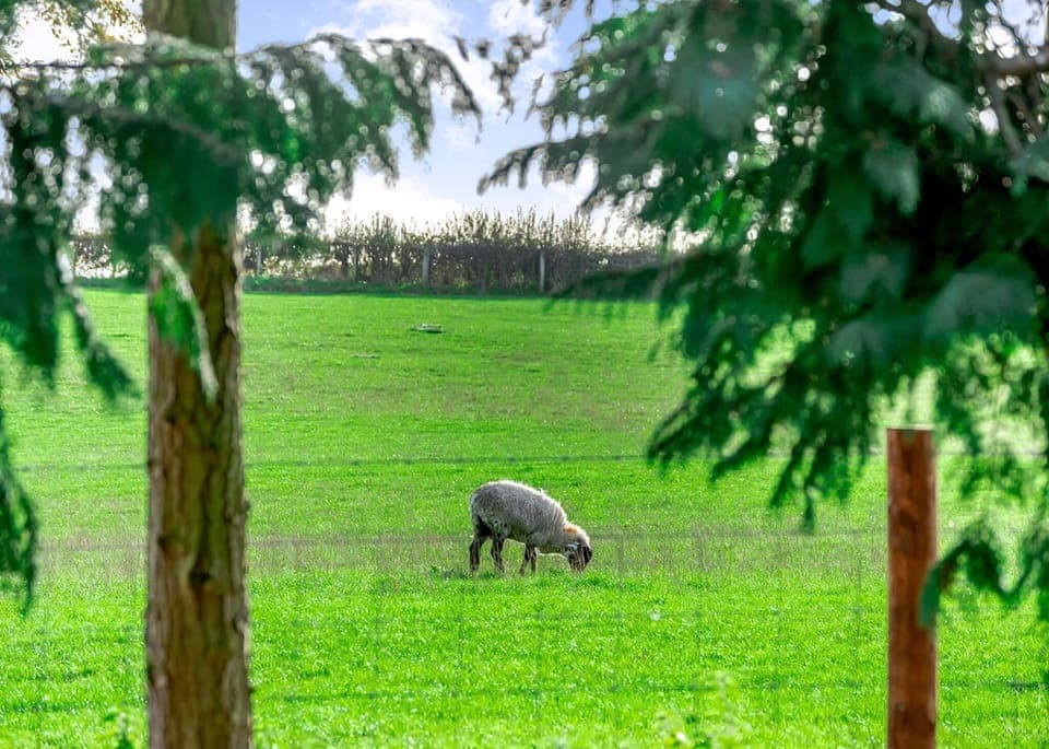 Cedar Retreats, West Tanfield