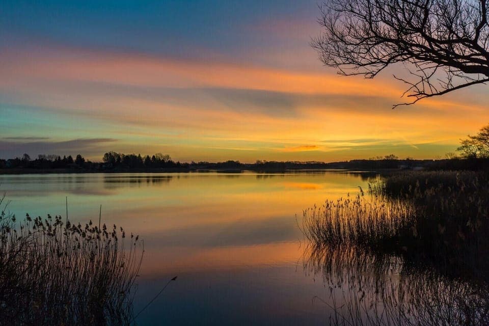 Area that directly surrounds the property