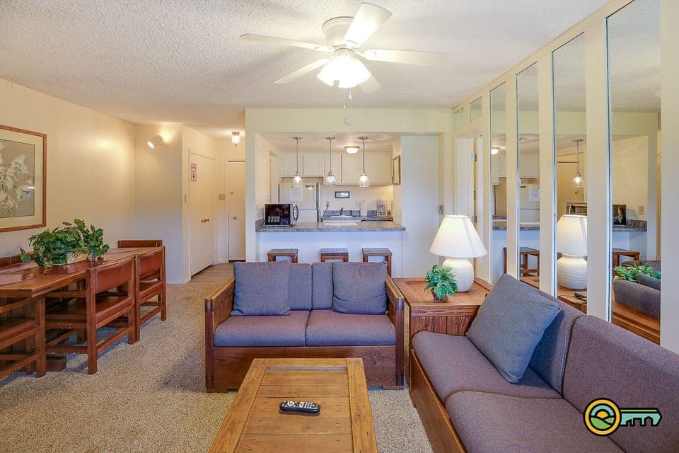 Living room/kitchen