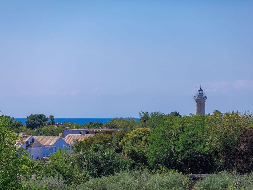 Sky, Mountain, Plant, Plant Community, Tree, Natural Environment, Larch, Natural Landscape, Highland, Slope