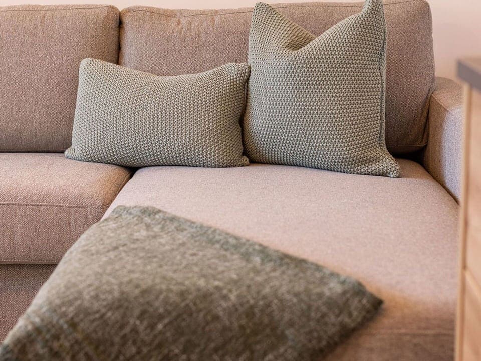 Textile, Couch, Cushion, Brown, Throw Pillow, Furniture, Pillow, Living Room