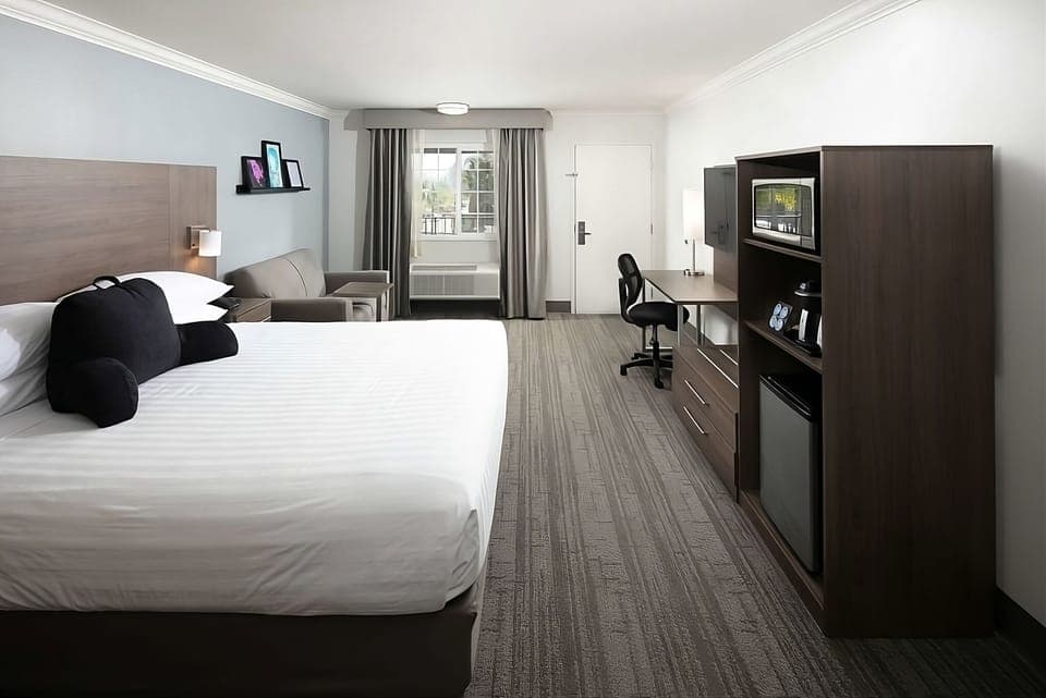 A fully equipped unit- King size bed, sofa, laptop-friendly space