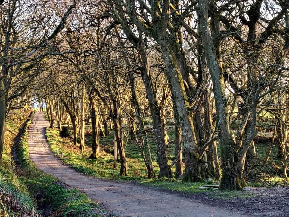 Extensive grounds | Dunskey Estate, Portpatrick, near Stranraer
