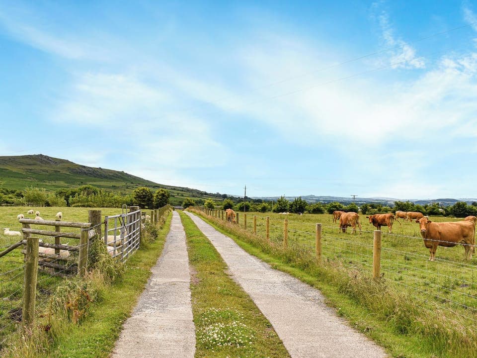 Surrounding area | Little Fern, Sourton Down, near Okehampton