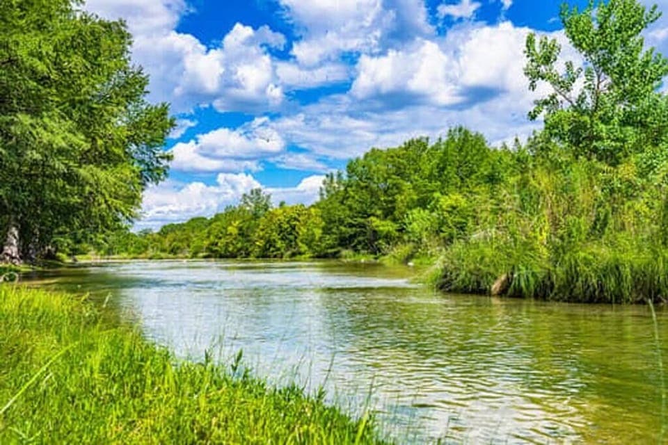 Picture taken from the bank behind the Nest House