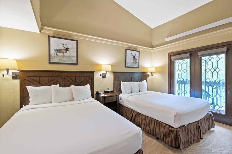 charter-c215-1609_54819249728_o