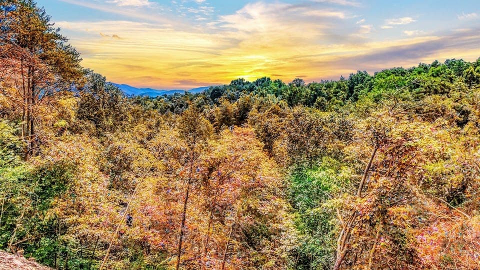 At Mighty Birdsong, you'll enjoy the use of 2 cabins that both offer stunning mountain views.