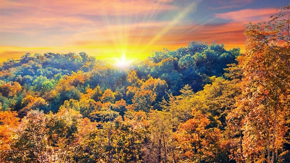 The Smokies is one of the top vacation spots in the US. It's a great place for your much needed relaxation and escape from the busy world. Why? Well, just look at how gorgeous the mountains ar