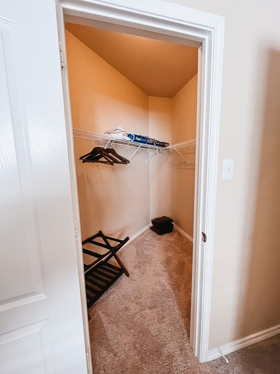 Closet for downstairs bedroom